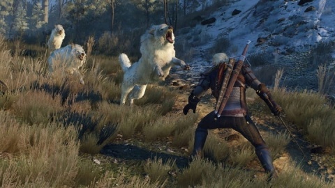 Gra Wiedźmin 3: Dziki Gon Game Of The Year GOTY Edition PS4 Playstation 4 Nowa