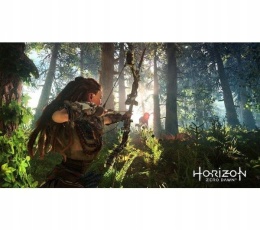 Gra Horizon: Zero Dawn - Complete Edition Playstation 4 PS4 Używana