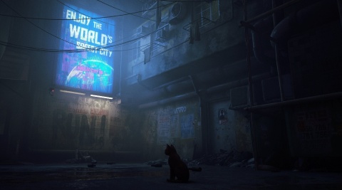 Gra Stray PS5 Playstation 5 Nowa