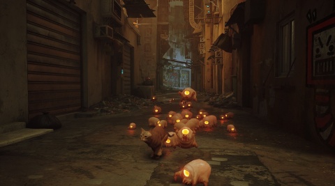 Gra Stray PS5 Playstation 5 Nowa