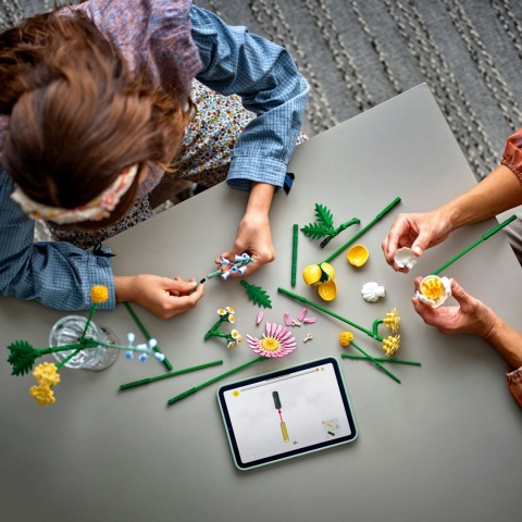 LEGO Botanicals Mały słoneczny bukiet 10347