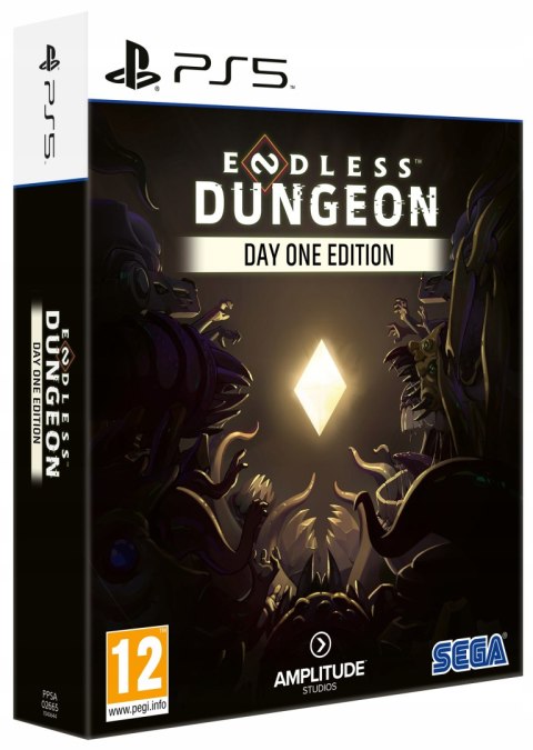 Endless Dungeon PS5 Playstation 5 Nowa Gra na Płycie w Folii