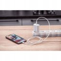 Ładowarka sieciowa Forcell Apple Lightning, USB typ C do Apple 3000 mA 9 V