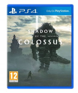 Shadow of the Colossus PS4 Nowa Gra Na Płycie w Folii