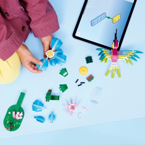 LEGO Creator - Dzikie zwierzęta: kolorowy koliber 3w1 31384