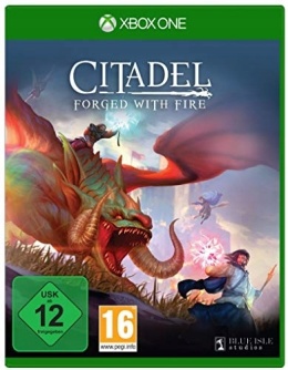 Gra Citadel: Forged with Fire Xbox One XONE Nowa