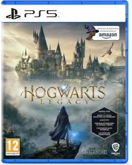 Gra Hogwarts Legacy PS5 PlayStation 5 Używana