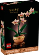 LEGO Botanicals Mała Orchidea 10343