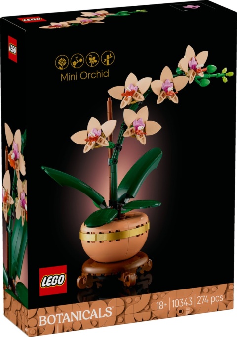 LEGO Botanicals Mała Orchidea 10343