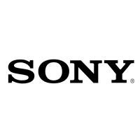Sony Interactive Entertainment